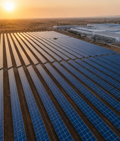 Know more about SunDesh Advantage: Optimise Costs, Maximise Yields​